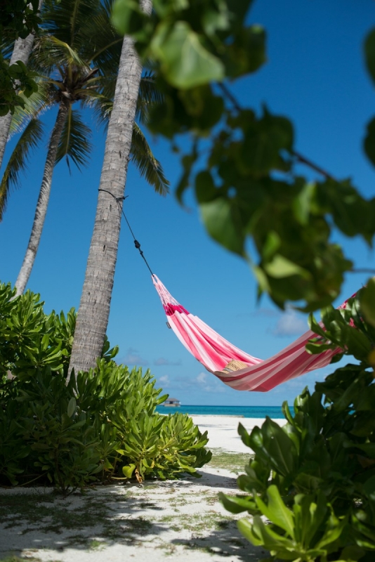 La Siesta hammock for two Aventura wild rose