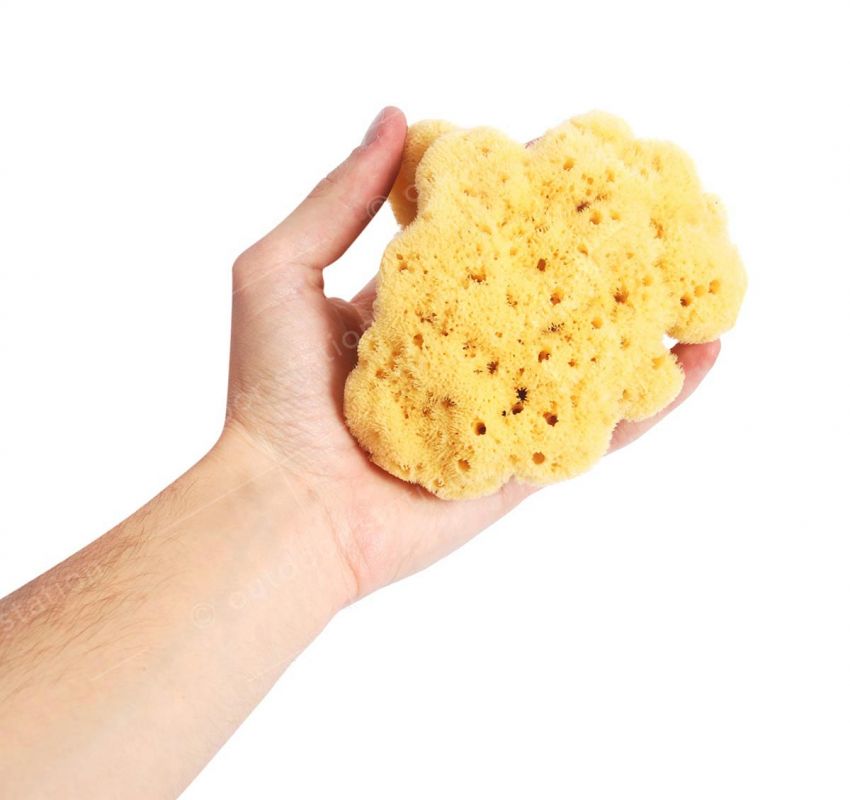 Natural Adriatic shower sponge 14-16cm