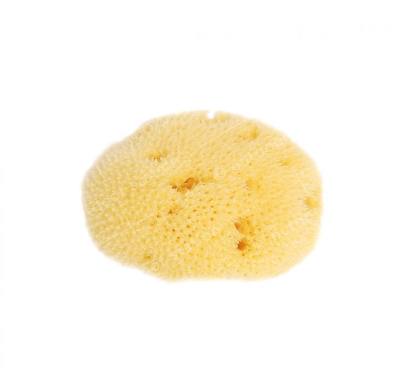 organic adriatic sea face sponge