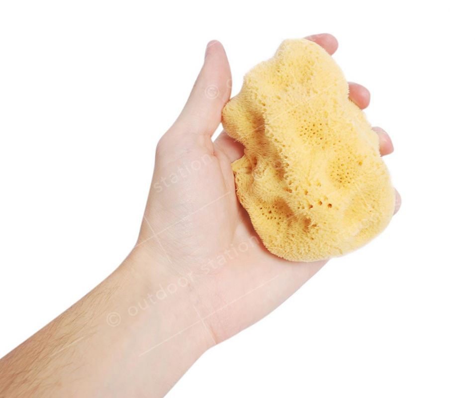Organic Adriatic sea sponge 10-12cm
