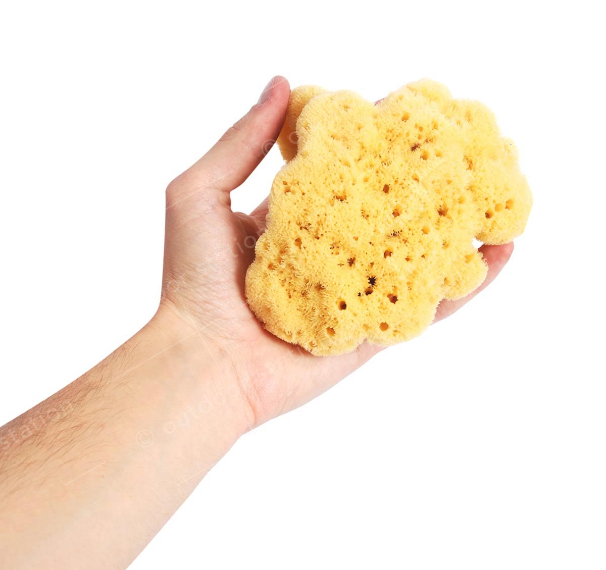 Natural Adriatic shower sponge 1416cm