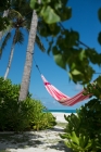 La Siesta hammock for two Aventura wild rose