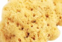 Natural Adriatic shower sponge 14-16cm