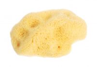 Organic Adriatic sea sponge 10-12cm