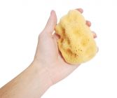 Organic Adriatic sea sponge 10-12cm