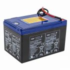 Yamaha Battery for RDS 250/280/300